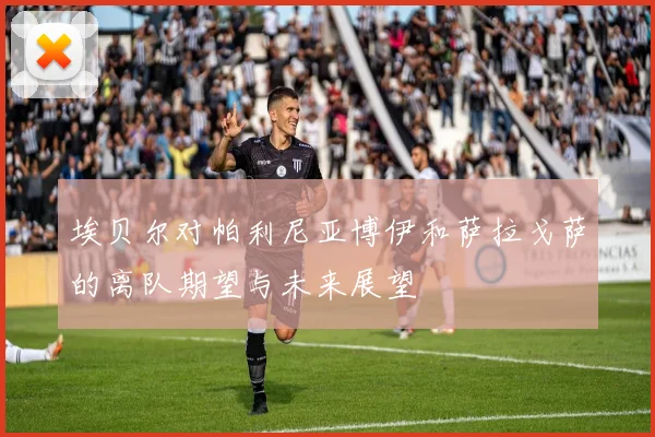埃贝尔对帕利尼亚博伊和萨拉戈萨的离队期望与未来展望