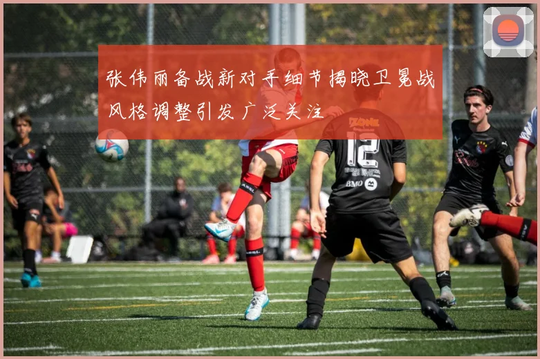 张伟丽备战新对手细节揭晓卫冕战风格调整引发广泛关注